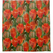 Rideaux De Douche Champ de tulipes...... (Devant)