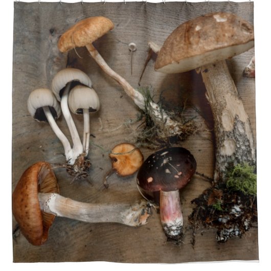 Rideaux De Douche Champignons d'amour des champignons (Devant)