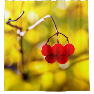 Rideaux De Douche Champion des baies Viburnum