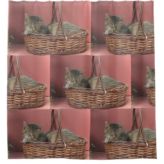 Rideaux De Douche Chat Dans Un Panier (Devant)