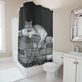 Rideaux De Douche Chat sur mur de brique (En situation)