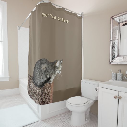 Rideaux De Douche Chat Tabby Gris Fumé (En situation)