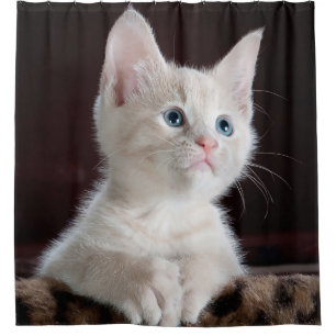 Rideaux De Douche Chaton mignon