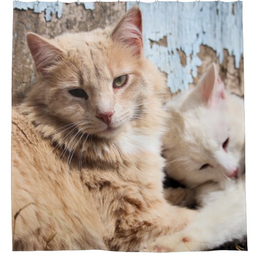 Rideaux De Douche Chats (Devant)