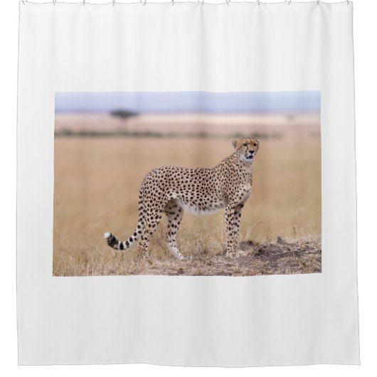 Rideaux De Douche Cheetah (Devant)