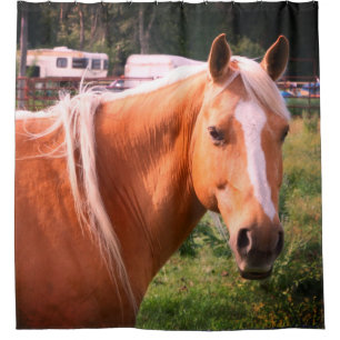 Rideaux De Douche Cheval