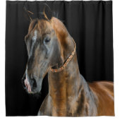 Rideaux De Douche Cheval Akhal-Teke (Devant)