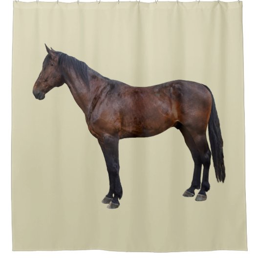Rideaux De Douche Cheval Morgan de Profil (Devant)
