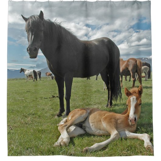 Rideaux De Douche Chevaux (Devant)