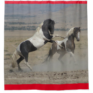 RIDEAUX DE DOUCHE CHEVAUX SAUVAGES D'UTAH PINTO COMBATTING SHOWER CU
