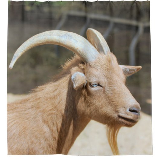 Rideaux De Douche Chèvre (Devant)