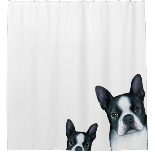 Rideaux De Douche Chien 128 Boston Terrier (Devant)