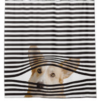 Chien amusant Bandes de clipart modernes noir et b