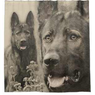 Rideaux De Douche Chien de berger allemand de travail - GSD