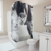 RIDEAUX DE DOUCHE CHINSTRAP PENGUIN (En situation)
