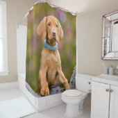 Rideaux De Douche Chiot puppyeyed mignon de chien de Vizsla de (En situation)