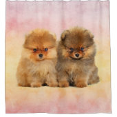 Rideaux De Douche Chiots allemands mignons de Spitz de Pomeranian (Devant)