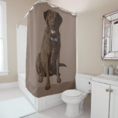 Rideaux De Douche Chocolat Labrador Retriever Dog Sitting (En situation)