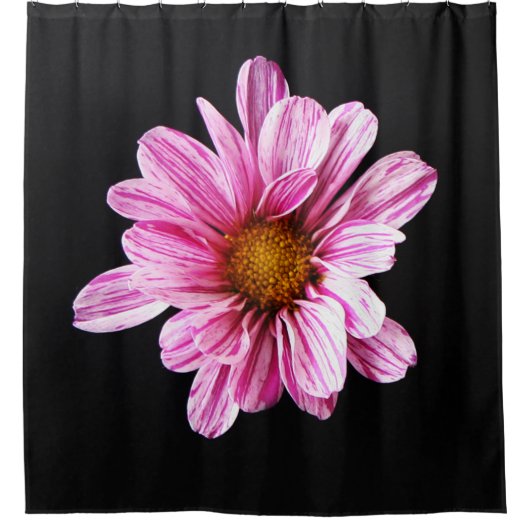 Rideaux De Douche Chrysanthemum Fleur sccnm (Devant)