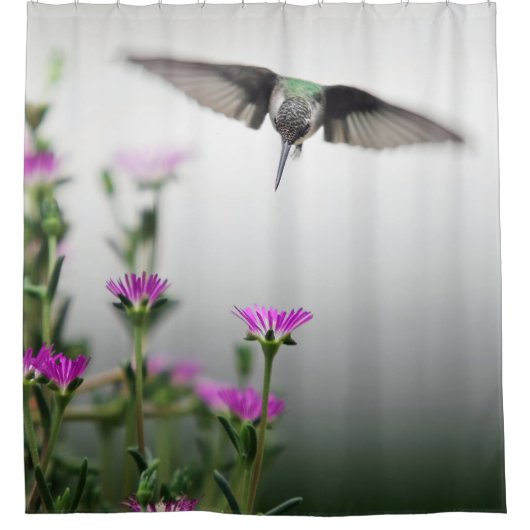 Rideaux De Douche Colibri unique (Devant)