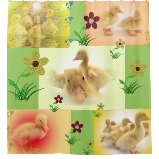 Rideaux De Douche collage de photos de canards mignons (Devant)