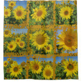 Rideaux De Douche Collage de tournesols jaunes en été (Devant)