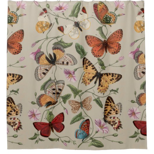 Rideaux De Douche Collection de la papillon Moth Nature Dessin (Devant)