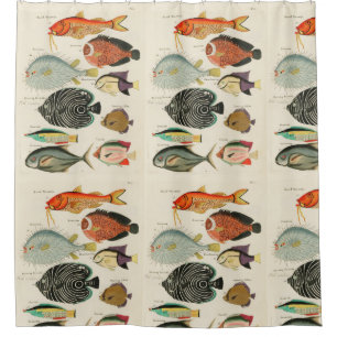 Rideaux De Douche Collection de poissons
