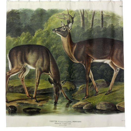Rideaux De Douche Common Deer (Devant)