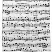 Rideaux De Douche Conception des notes de musique (Devant)