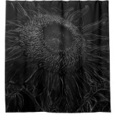 Rideaux De Douche Conception noire et blanche de croquis de (Devant)