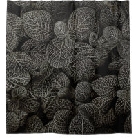 CONNEXES DE PINS VERTS ET BROWN