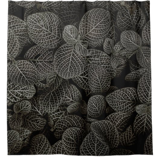 RIDEAUX DE DOUCHE CONNEXES DE PINS VERTS ET BROWN (Devant)