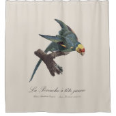 Rideaux De Douche Conure de Caroline, Conuropsis carolinensis (Devant)