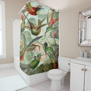 Rideaux De Douche Copie d'art d'Ernst Haeckel : Trochilidae