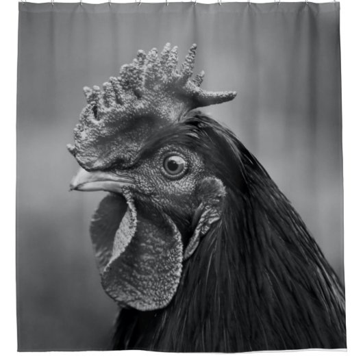 Rideaux De Douche Coq noir et blanc (Devant)