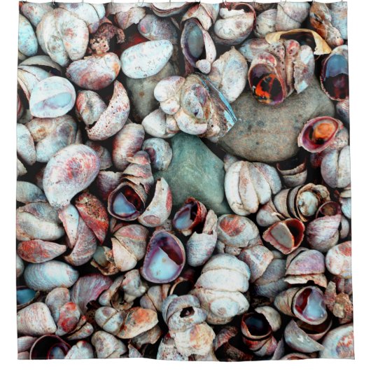 Rideaux De Douche Coques (Devant)