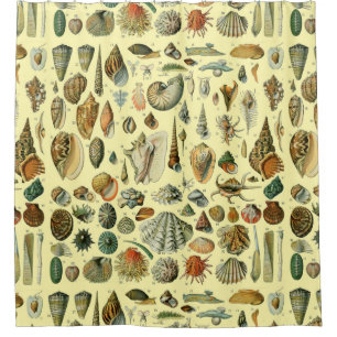 Rideaux De Douche Coquillages de coquillages Mollusk Clam Élégant Ar