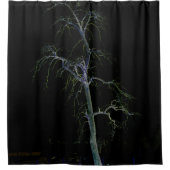 Rideaux De Douche Côté foncé 8 sccnm (Devant)