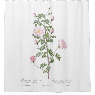 Rideaux De Douche Cottage Fleur Rose Clair