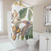 Rideaux De Douche Coucou à bec jaune Audubon (En situation)