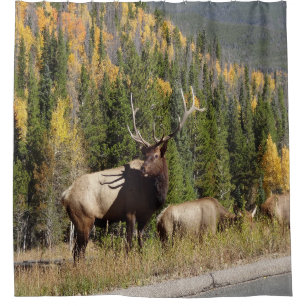 Rideaux De Douche Coureur d'Elk Shower
