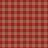 Rideaux De Douche Cozy Tartan Curtain Traditional Holiday Gift Look