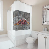 Rideaux De Douche Crabe rouge (En situation)