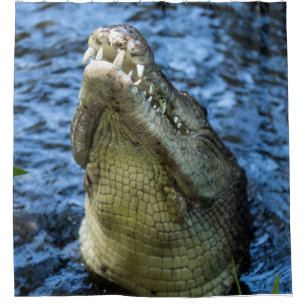 Rideaux De Douche Crocodile Dents Eau