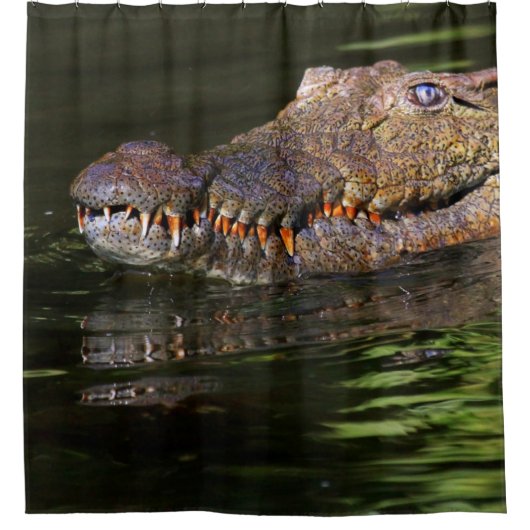 Rideaux De Douche Crocodile du Nil (Devant)