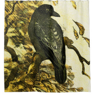 Rideaux De Douche Crow vintage Perché sur une branche Theo van Hoyte