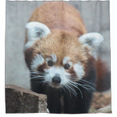 Rideaux De Douche Cute (Devant)