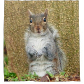 Rideaux De Douche Cute écureuil (Devant)