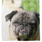 Rideaux De Douche Cute en Carlin (Devant)